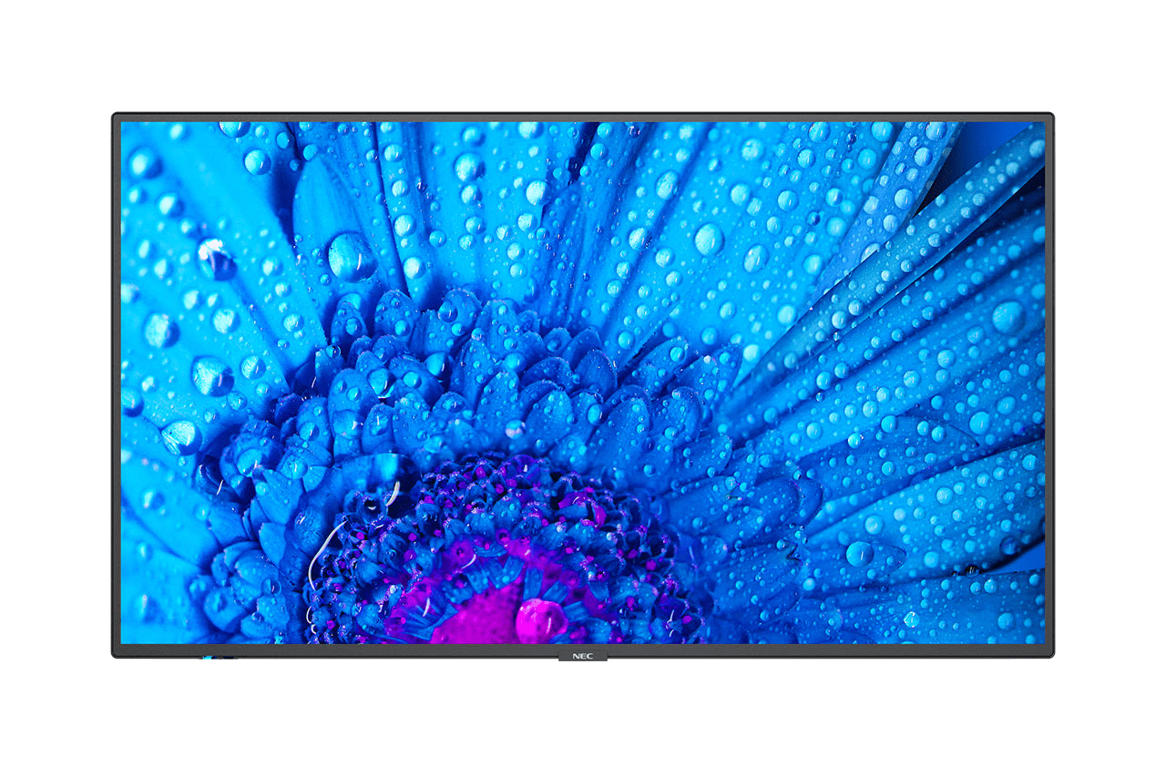NEC MultiSync M651 165,10cm UHD LFD
